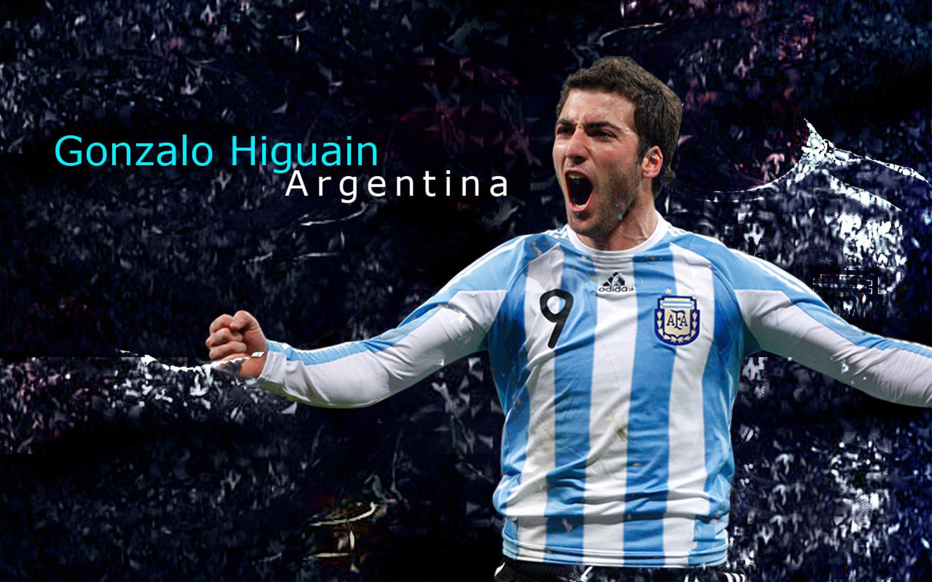 张伟丽出战海报获千万级曝光量，张伟丽首回合