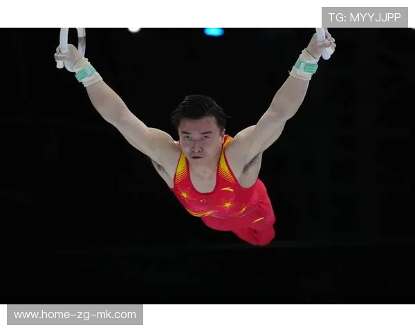 体操吊环稳健如钢铁——追求极致稳定与力量的完美结合