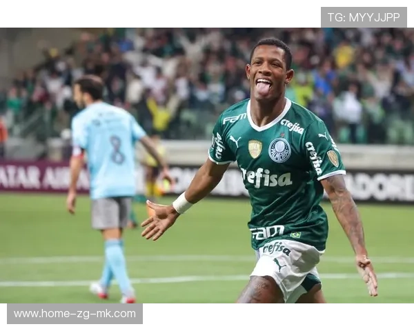 巴西所处小组可能出现剧烈波动,外界预测摇摆明显 巴西所处小组可能出现剧烈波动,外界预测摇摆明显