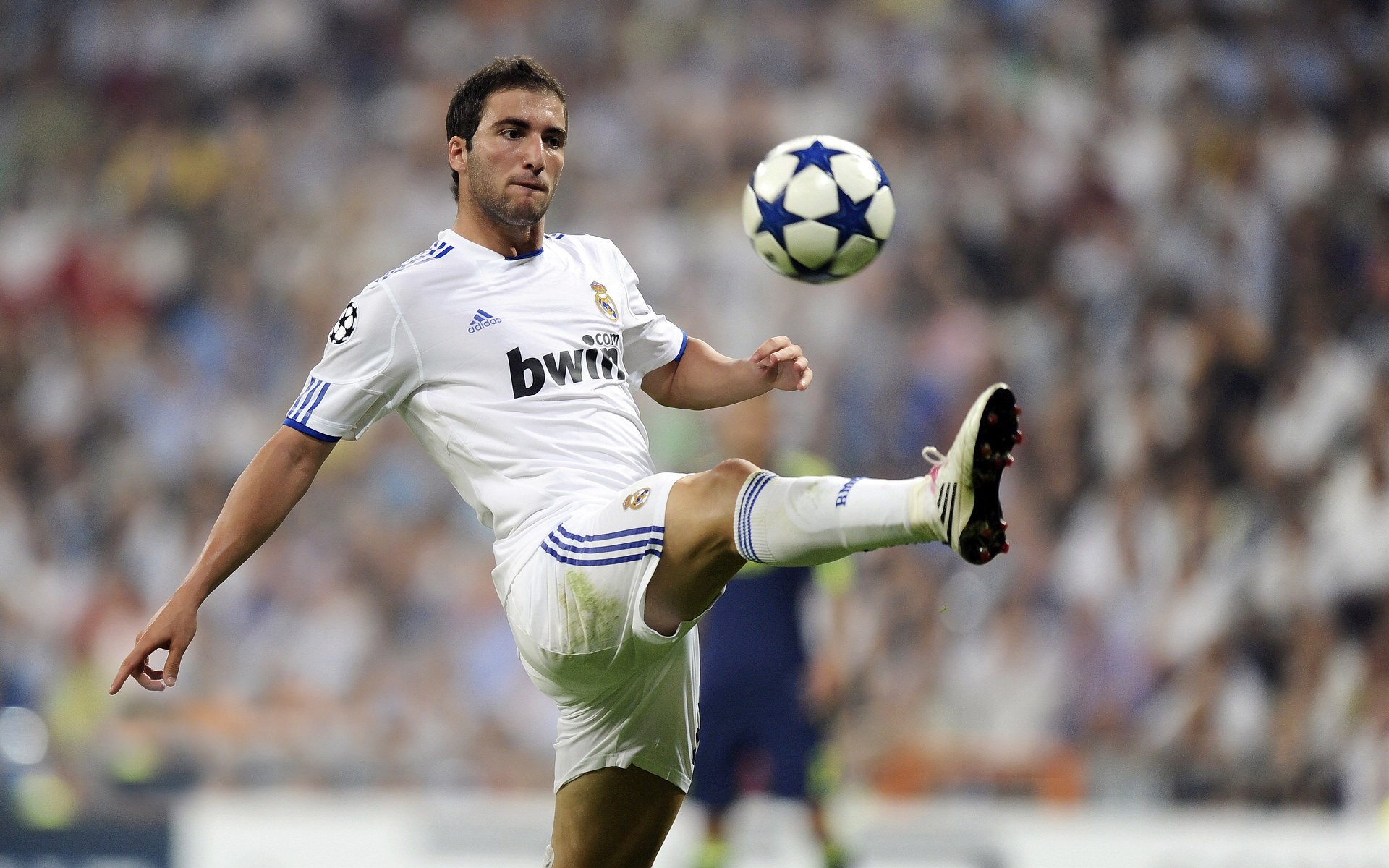 法国橄榄球的市场化步伐加快，吸引全球品牌合作，法国橄榄球队